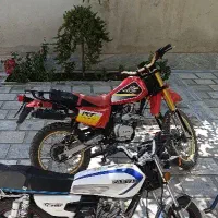 تریل پیشرو xl