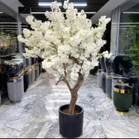 درختچه شکوفه