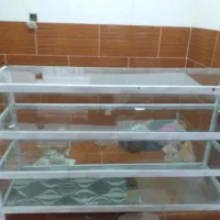 ویترین دارم سالم