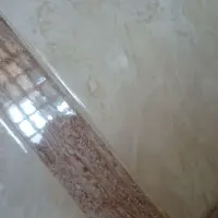 خ. حیوان ماودی