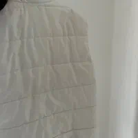 بارونی|لباس|شیراز, اصلاحنژاد|دیوار