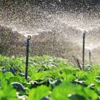 دنبال کار آبیاری هستم