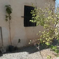 اجاره برای ۲ الا ۳ ساعت|اجارهٔ کوتاه‌مدت ویلا و باغ|ماهدشت, |دیوار