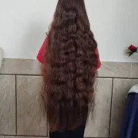 خریدار موی طبیعی با بالاترین قیمت