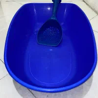 وسایل واجب گربه|لوازم جانبی حیوانات|مشهد, امیریه|دیوار