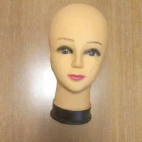 مانکن سر،چوبکار،رگال دیواری