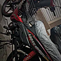 هرم اسپید نو درحد1401 شکار