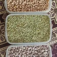 نخود.لوبیا.عدسی.برنج
