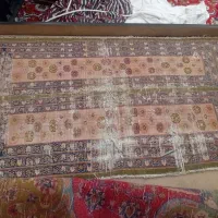 قالی دست باف قدیمی|فرش|مشهد, توس (بلوار توس)|دیوار
