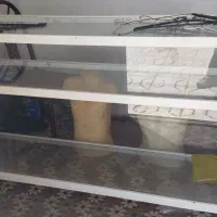 ویترین ورگال لباس