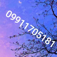 09911705181