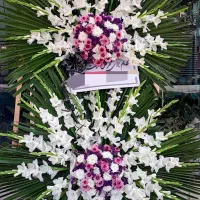 تاج گل|گل و گیاه طبیعی|گلپایگان, |دیوار