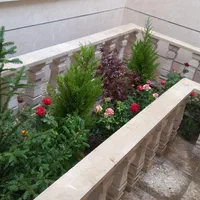 خدمات چمن کاری نهال کاری گل کاری باغبانی گلکاری|خدمات باغبانی و درختکاری|مشهد, توس (بلوار توس)|دیوار