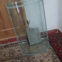 آکواریوم شیشه منحنی