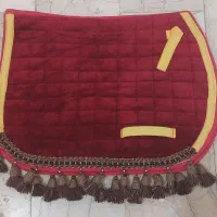 عرقگیر و طناب لنچ و پد دست و پای اسب