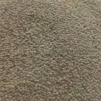 عدس دیمی تازه فریدن