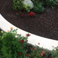 کود گوسفند ی پوسیده|گل و گیاه طبیعی|تهران, ستارخان|دیوار