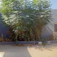 کارگاه.سوله.مغازه|فروش دفتر صنعتی، کشاورزی، تجاری|چهاردانگه (تهران), |دیوار