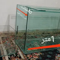 آکواریوم شیشه خم.درحد نو نو نو...