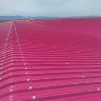 خرید سایبان سقف پارکینگ، پوشش سقف سوله، ضد اسید|مصالح و تجهیزات ساختمان|تهران, درب دوم|دیوار