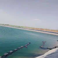 ایزوگام