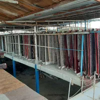 قالیشویی،مبل شویی، مکانیزه دلفین|خدمات نظافت|قم, امامزاده ابراهیم|دیوار