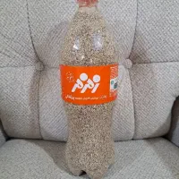 بذر کشاورزی