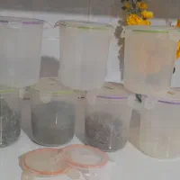جا حبوباتی|ظروف نگهدارنده، پلاستیکی، یک‌بارمصرف|کرمانشاه, |دیوار
