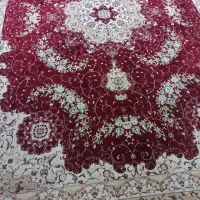 قالی۹متری|فرش|اهواز, کوی جانبازان(دانش)|دیوار