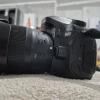 دوربین و لنز|دوربین عکاسی و فیلمبرداری|شیراز, تندگویان|دیوار