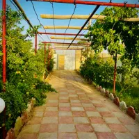 ۲۰۰۰ متر باغ با درختان ۱۰ ساله در ایجدان