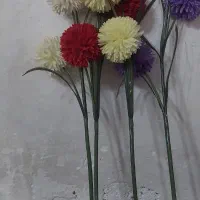 گل خارجی