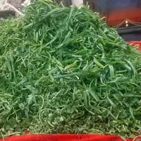 قرمه سبزی پر سرخ خانگی|خوردنی و آشامیدنی|فردیس, قریشی|دیوار