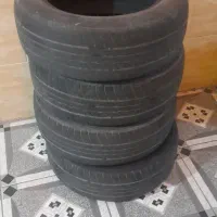 لاسیتک ۱۵ تاخچه دناپلاس دارم