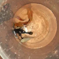 تعدادی ماهی