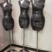 مانکن سوزن خور