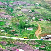 تور یک روزه