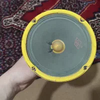 باند|سیستم صوتی خانگی|سنندج, |دیوار