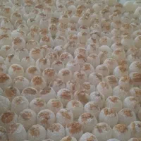 باسلوق دوپر کریستال  تک پر لقمه ای و میوه ای و ۰۰|خوردنی و آشامیدنی|صوفیان, |دیوار