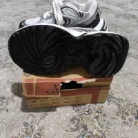 کفش سایز 41|کیف، کفش، کمربند|اندیشه, اندیشه فاز ۲|دیوار