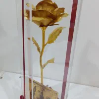 باکس شیشه ای گل رز طلایی
