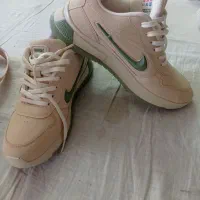 کیف و کفش|کیف، کفش، کمربند|ارومیه, |دیوار