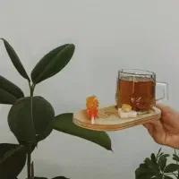 تایپ و دست نویسی متن