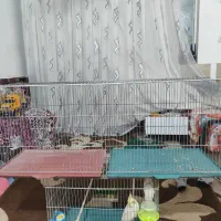 قفس جفت خان