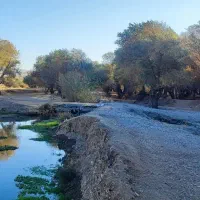 دستبند طلا گم کردم