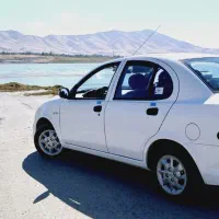 ساینا اس دوگانه فابریک