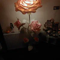 شب خواب و گل رز