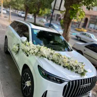 ورودی عروس ، ریسه ، چمن ، بک گراند ، گل آرایی