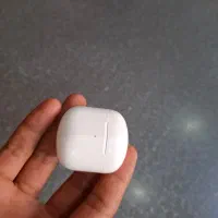 عروس هلندی|پرنده|مشهد, وحید|دیوار