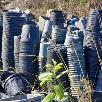 سبد میوه و گدان|عمدهفروشی|کلارآباد, |دیوار